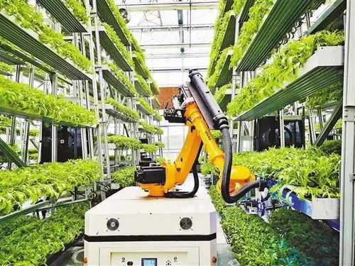 物联周刊 71期 重庆176亿元投建智慧城市，茶业种植迎数字化变革