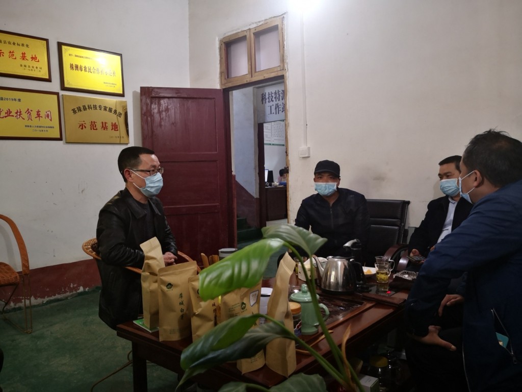 科技专家服务团 让茶叶种植企业插上复工复产的翅膀