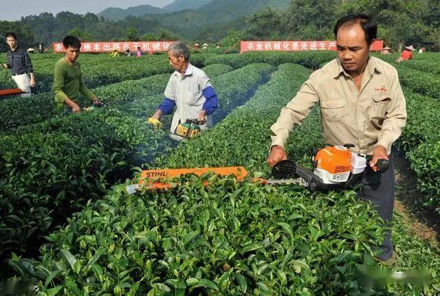 我国茶叶种植机械现状与茶园机械化提升路径